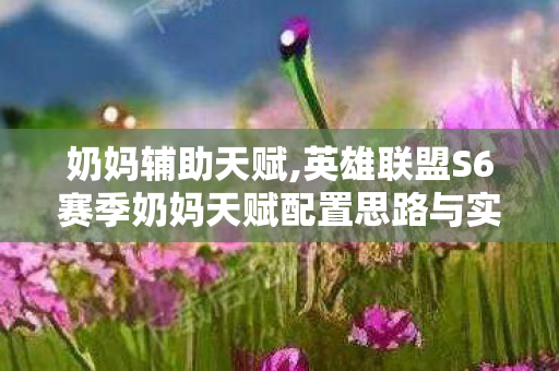 奶妈辅助天赋,英雄联盟S6赛季奶妈天赋配置思路与实战玩法指南 奶妈辅助天赋,英雄联盟S6赛季奶妈天赋配置思路与实战玩法指南
