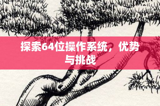 探索64位操作系统图片