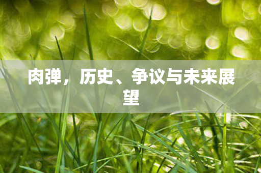 争议与未来展望图片
