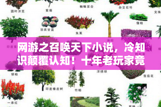 网游之召唤天下小说,冷知识颠覆认知!十年老玩家竟目瞪口呆,新手教程从未通关? 网游之召唤天下小说,冷知识颠覆认知!十年老玩家竟目瞪口呆,新手教程从未通关?