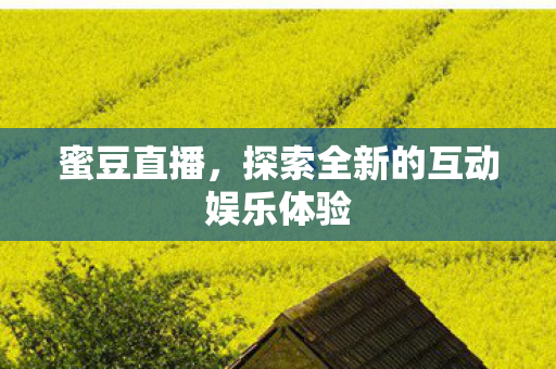 探索全新的互动娱乐体验图片