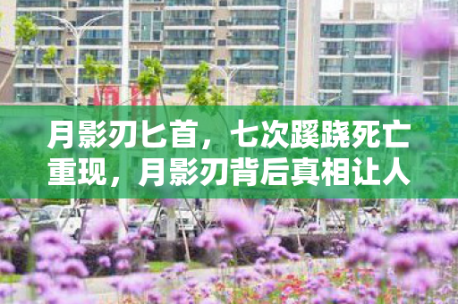 月影刃匕首,七次蹊跷死亡重现,月影刃背后真相让人后背发凉 月影刃匕首,七次蹊跷死亡重现,月影刃背后真相让人后背发凉