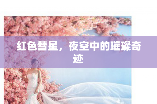 夜空中的璀璨奇迹图片