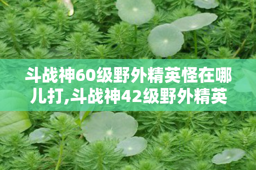 斗战神60级野外精英怪在哪儿打,斗战神42级野外精英怪分布全指南 阶段刷怪效率提升攻略 斗战神60级野外精英怪在哪儿打,斗战神42级野外精英怪分布全指南 阶段刷怪效率提升攻略
