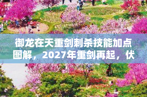 御龙在天重剑刺杀技能加点图解,2027年重剑再起,伏笔藏旧情,鼻子一酸忆往昔刺杀时光 御龙在天重剑刺杀技能加点图解,2027年重剑再起,伏笔藏旧情,鼻子一酸忆往昔刺杀时光