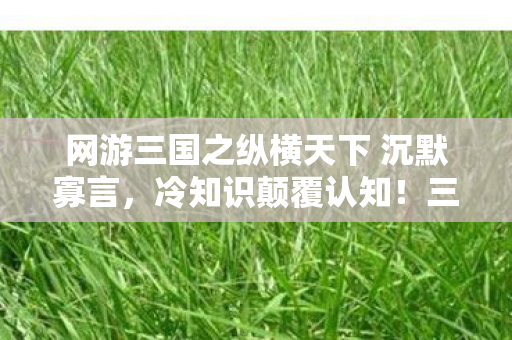 网游三国之纵横天下 沉默寡言,冷知识颠覆认知!三国网游里藏着的炸弹设计,让你目瞪口呆! 网游三国之纵横天下 沉默寡言,冷知识颠覆认知!三国网游里藏着的炸弹设计,让你目瞪口呆!