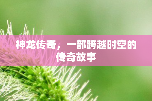 一部跨越时空的传奇故事图片