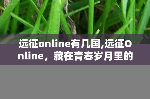远征online有几国,远征Online,藏在青春岁月里的热血江湖印记 远征online有几国,远征Online,藏在青春岁月里的热血江湖印记