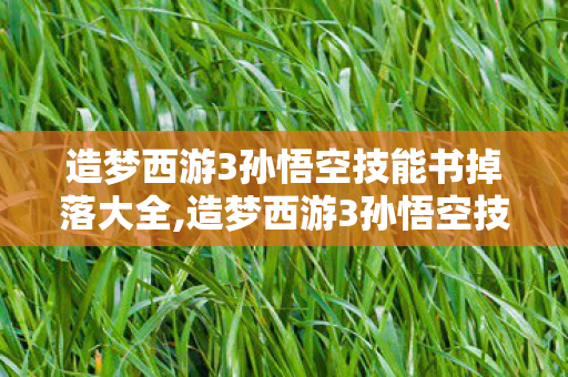 造梦西游3孙悟空技能书掉落大全,造梦西游3孙悟空技能全解析，踏碎凌霄的斗战圣猴成长指南