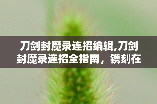 刀剑封魔录连招编辑,刀剑封魔录连招全指南，镌刻在键盘上的国风动作浪漫