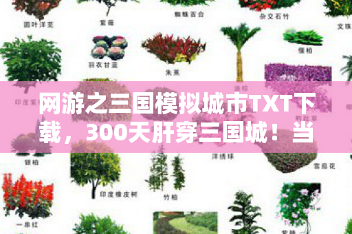 网游之三国模拟城市TXT下载,300天肝穿三国城!当99%玩家卡在洛阳城门时,他竟用一包辣条换来通关密码? 网游之三国模拟城市TXT下载,300天肝穿三国城!当99%玩家卡在洛阳城门时,他竟用一包辣条换来通关密码?