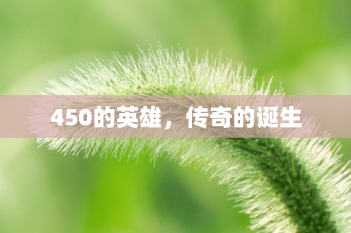 450的英雄图片