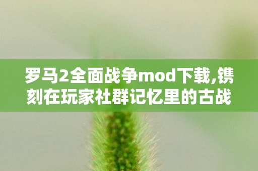 罗马2全面战争mod下载,镌刻在玩家社群记忆里的古战策略史诗 罗马2全面战争mod下载,镌刻在玩家社群记忆里的古战策略史诗