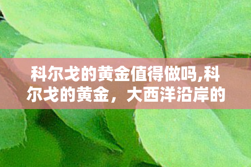 科尔戈的黄金值得做吗,科尔戈的黄金，大西洋沿岸的百年寻宝浪漫传奇