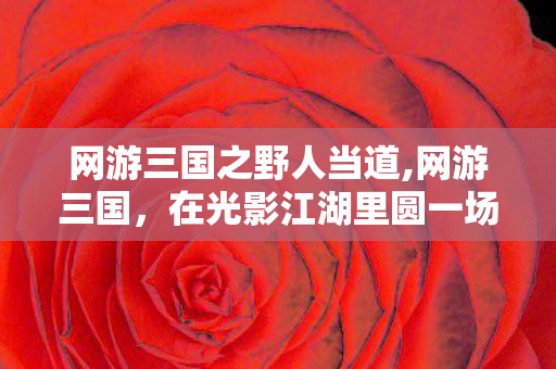 网游三国之野人当道,网游三国，在光影江湖里圆一场群雄逐鹿的少年梦