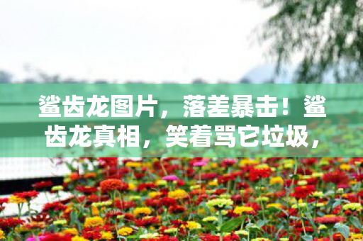 鲨齿龙图片,落差暴击!鲨齿龙真相,笑着骂它垃圾,哭着又充了648 鲨齿龙图片,落差暴击!鲨齿龙真相,笑着骂它垃圾,哭着又充了648