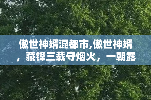 傲世神婿混都市,傲世神婿，藏锋三载守烟火，一朝露华暖桑梓