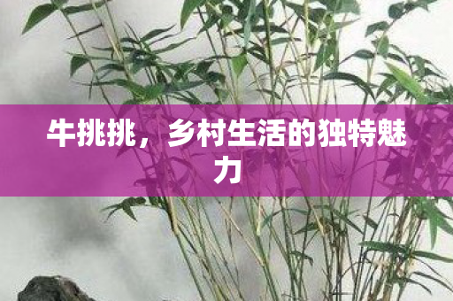 乡村生活的独特魅力图片