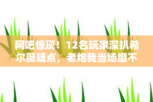网吧惊现!12名玩家深扒希尔薇疑点,老炮我当场绷不住了! 网吧惊现!12名玩家深扒希尔薇疑点,老炮我当场绷不住了!