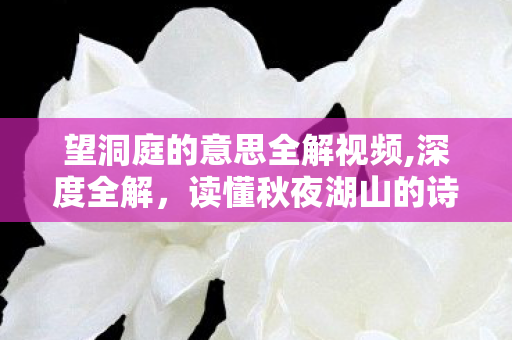 望洞庭的意思全解视频,深度全解,读懂秋夜湖山的诗意留白 望洞庭的意思全解视频,深度全解,读懂秋夜湖山的诗意留白