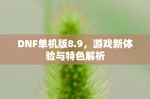 游戏新体验与特色解析图片