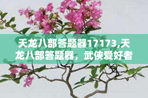 天龙八部答题器17173,天龙八部答题器,武侠爱好者的趣味知识储备好帮手 天龙八部答题器17173,天龙八部答题器,武侠爱好者的趣味知识储备好帮手