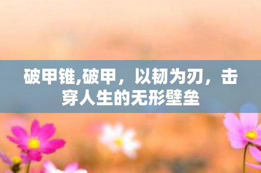 破甲锥,破甲,以韧为刃,击穿人生的无形壁垒 破甲锥,破甲,以韧为刃,击穿人生的无形壁垒