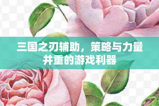 策略与力量并重的游戏利器图片