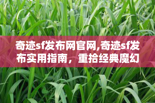 奇迹sf发布网官网,奇迹sf发布实用指南,重拾经典魔幻的青春热血 奇迹sf发布网官网,奇迹sf发布实用指南,重拾经典魔幻的青春热血