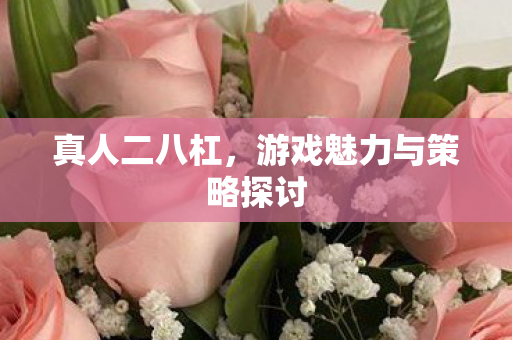 游戏魅力与策略探讨图片