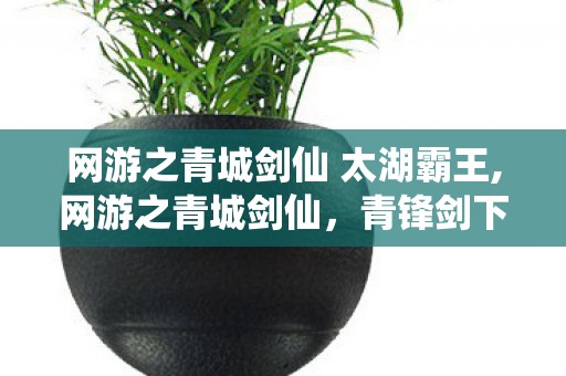 网游之青城剑仙 太湖霸王,网游之青城剑仙,青锋剑下的仙侠旧梦 网游之青城剑仙 太湖霸王,网游之青城剑仙,青锋剑下的仙侠旧梦