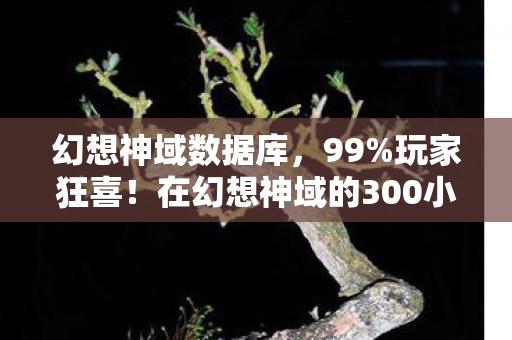 幻想神域数据库,99%玩家狂喜!在幻想神域的300小时里,我找到了二次元终极浪漫 幻想神域数据库,99%玩家狂喜!在幻想神域的300小时里,我找到了二次元终极浪漫