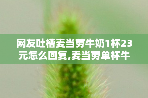 网友吐槽麦当劳牛奶1杯23元怎么回复,麦当劳单杯牛奶售价23元引热议,快餐品牌的饮品定价到底贵在哪? 网友吐槽麦当劳牛奶1杯23元怎么回复,麦当劳单杯牛奶售价23元引热议,快餐品牌的饮品定价到底贵在哪?