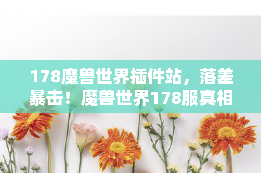 178魔兽世界插件站，落差暴击！魔兽世界178服真相，笑着骂策划，哭着点登录