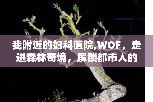 我附近的妇科医院,WOF,走进森林奇境,解锁都市人的轻自然生活方式 我附近的妇科医院,WOF,走进森林奇境,解锁都市人的轻自然生活方式