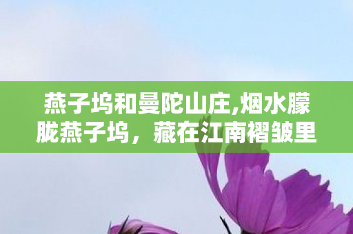 燕子坞和曼陀山庄,烟水朦胧燕子坞,藏在江南褶皱里的武侠旧梦 燕子坞和曼陀山庄,烟水朦胧燕子坞,藏在江南褶皱里的武侠旧梦