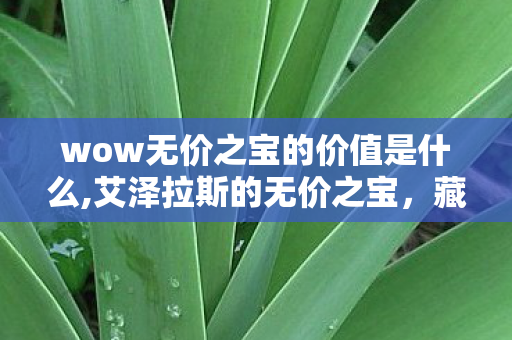 wow无价之宝的价值是什么,艾泽拉斯的无价之宝,藏在像素道具里的滚烫时光 wow无价之宝的价值是什么,艾泽拉斯的无价之宝,藏在像素道具里的滚烫时光