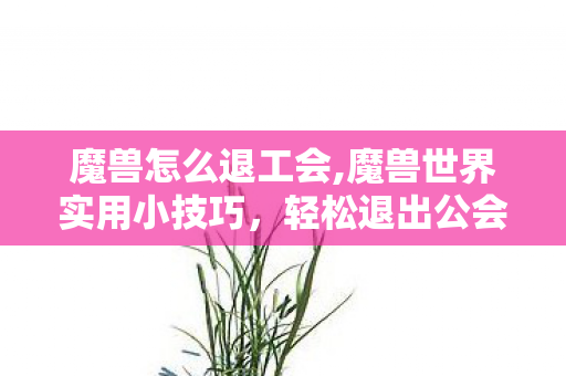 魔兽怎么退工会,魔兽世界实用小技巧,轻松退出公会的全方法指南 魔兽怎么退工会,魔兽世界实用小技巧,轻松退出公会的全方法指南