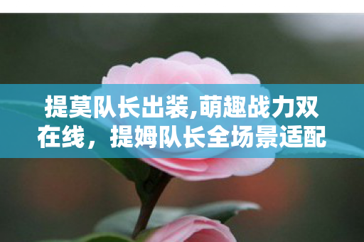 提莫队长出装,萌趣战力双在线,提姆队长全场景适配出装指南 提莫队长出装,萌趣战力双在线,提姆队长全场景适配出装指南