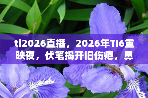 ti2026直播,2026年TI6重映夜,伏笔揭开旧伤疤,鼻子一酸忆往昔 ti2026直播,2026年TI6重映夜,伏笔揭开旧伤疤,鼻子一酸忆往昔