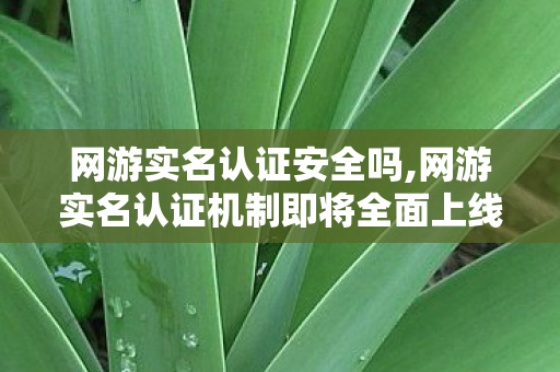 网游实名认证安全吗,网游实名认证机制即将全面上线 共筑健康有序数字娱乐新生态 网游实名认证安全吗,网游实名认证机制即将全面上线 共筑健康有序数字娱乐新生态