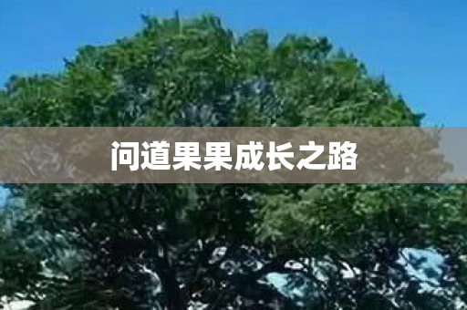 问道果果成长之路图片