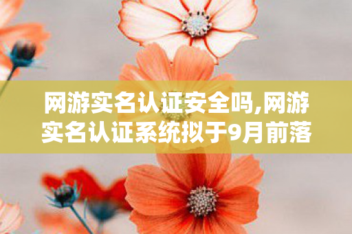 网游实名认证安全吗,网游实名认证系统拟于9月前落地 为健康游戏生态筑牢防护墙 网游实名认证安全吗,网游实名认证系统拟于9月前落地 为健康游戏生态筑牢防护墙