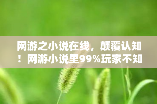 网游之小说在线,颠覆认知!网游小说里99%玩家不知的冷知识,看完目瞪口呆 网游之小说在线,颠覆认知!网游小说里99%玩家不知的冷知识,看完目瞪口呆