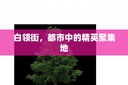 都市中的精英聚集地图片