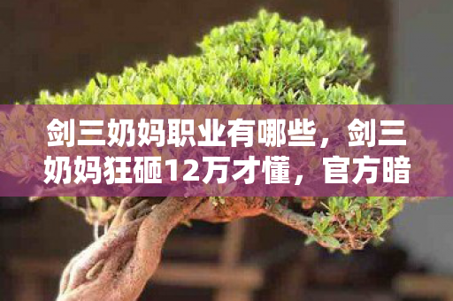 剑三奶妈职业有哪些,剑三奶妈狂砸12万才懂,官方暗改数值的隐情,吓得我钱包都裂了! 剑三奶妈职业有哪些,剑三奶妈狂砸12万才懂,官方暗改数值的隐情,吓得我钱包都裂了!
