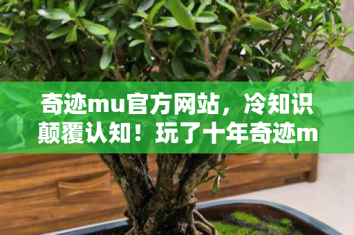 奇迹mu官方网站,冷知识颠覆认知!玩了十年奇迹mu,这些真相让我目瞪口呆 奇迹mu官方网站,冷知识颠覆认知!玩了十年奇迹mu,这些真相让我目瞪口呆