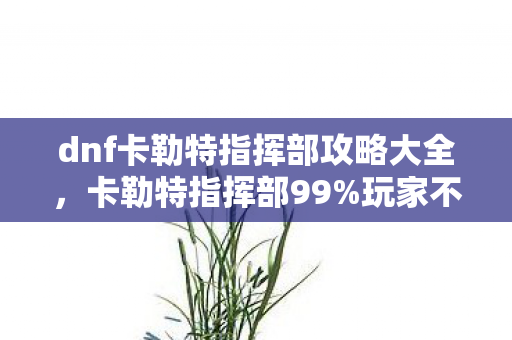 dnf卡勒特指挥部攻略大全,卡勒特指挥部99%玩家不知的3大数值陷阱!策划暗改概率实锤 dnf卡勒特指挥部攻略大全,卡勒特指挥部99%玩家不知的3大数值陷阱!策划暗改概率实锤