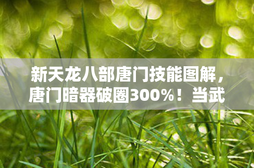 新天龙八部唐门技能图解,唐门暗器破圈300%!当武侠秘术撞上音乐综艺与高定时装 新天龙八部唐门技能图解,唐门暗器破圈300%!当武侠秘术撞上音乐综艺与高定时装