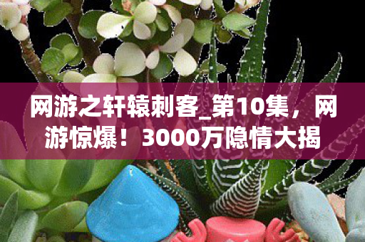 网游之轩辕刺客_第10集,网游惊爆!3000万隐情大揭秘,离职老兵掀桌,这操作真让人吓一跳! 网游之轩辕刺客_第10集,网游惊爆!3000万隐情大揭秘,离职老兵掀桌,这操作真让人吓一跳!